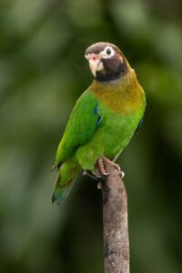 ニオイケアに最適なメンズ向けサプリの選び方は？