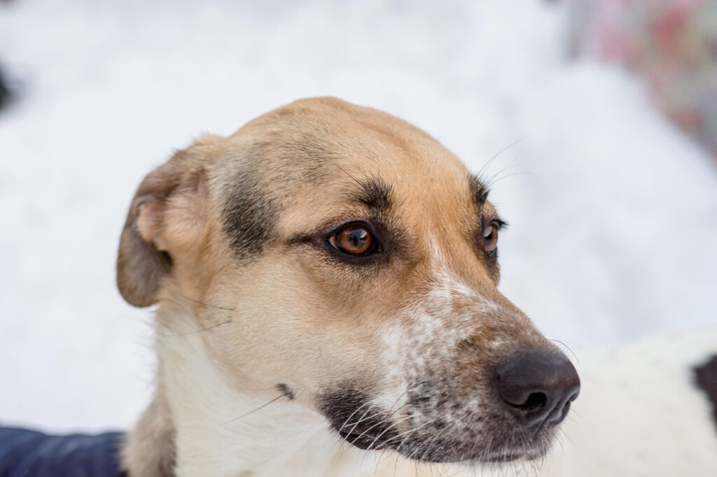 体臭改善に効果的な乳酸菌サプリの選び方は？