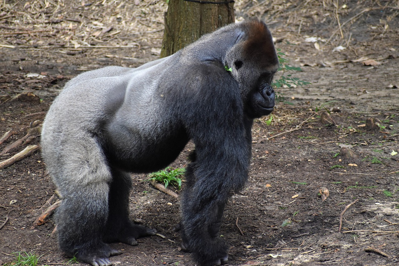 2025年版の体臭対策におすすめのサプリランキングは？