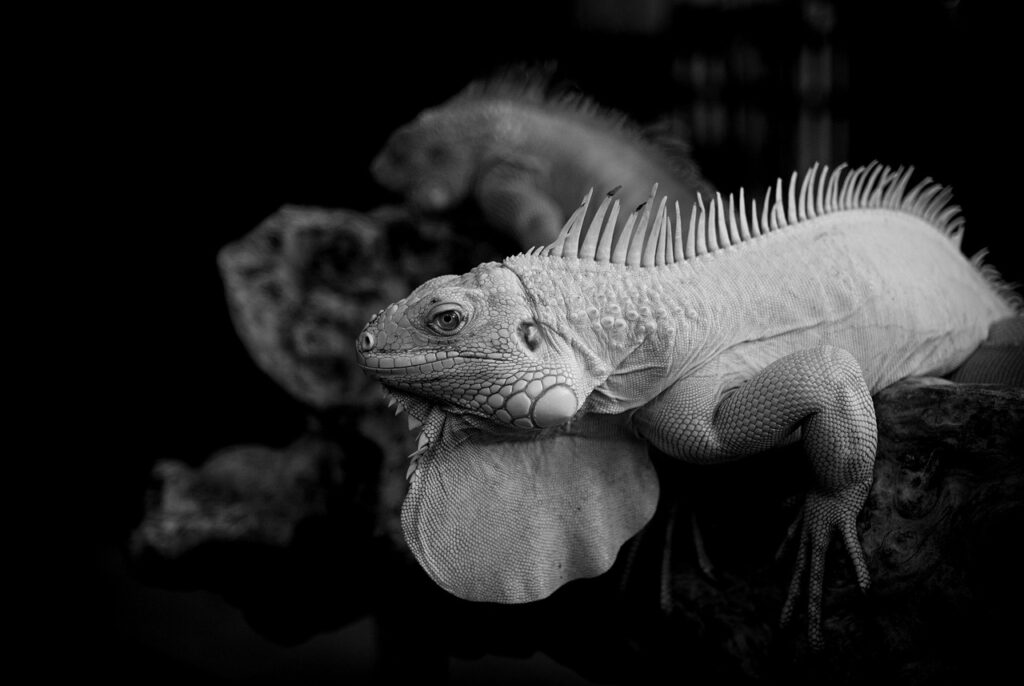 エチケットサプリの最新ランキングはどれ？