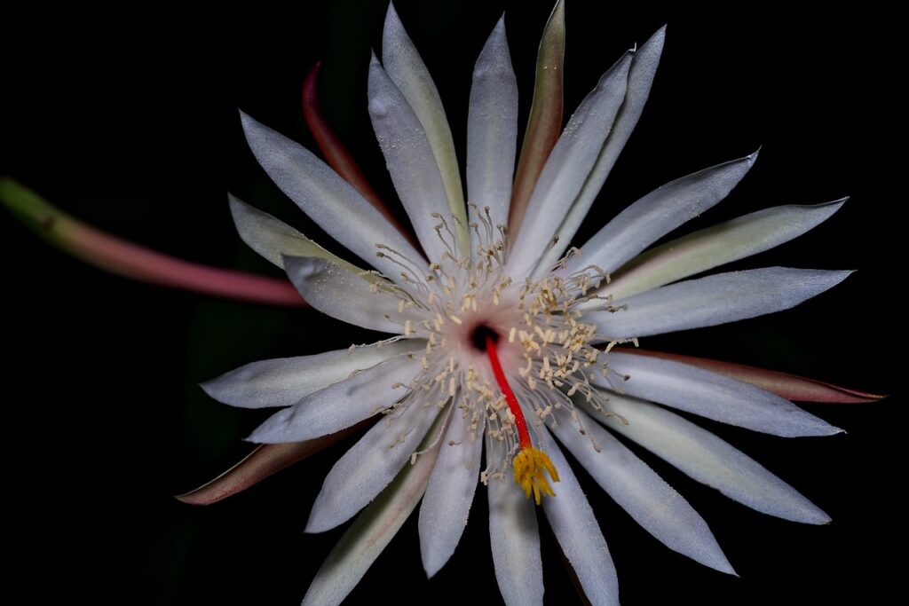 夜の口臭対策に効果的なサプリはいつ飲むべき？