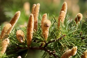 20代男子におすすめのあごニキビ対策サプリは？